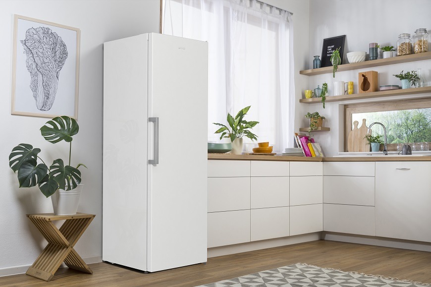Chladnička Gorenje R619EEW5, biela