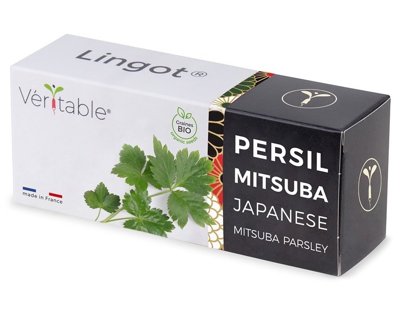Semienka Véritable Lingot Japonská petržlen Mitscuba