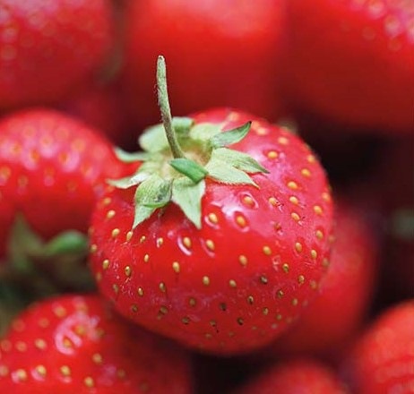 Chladnička Whirlpool SW6 AM2Q W 2 biela Chladnička Whirlpool SW6 AM2Q W 2 biela