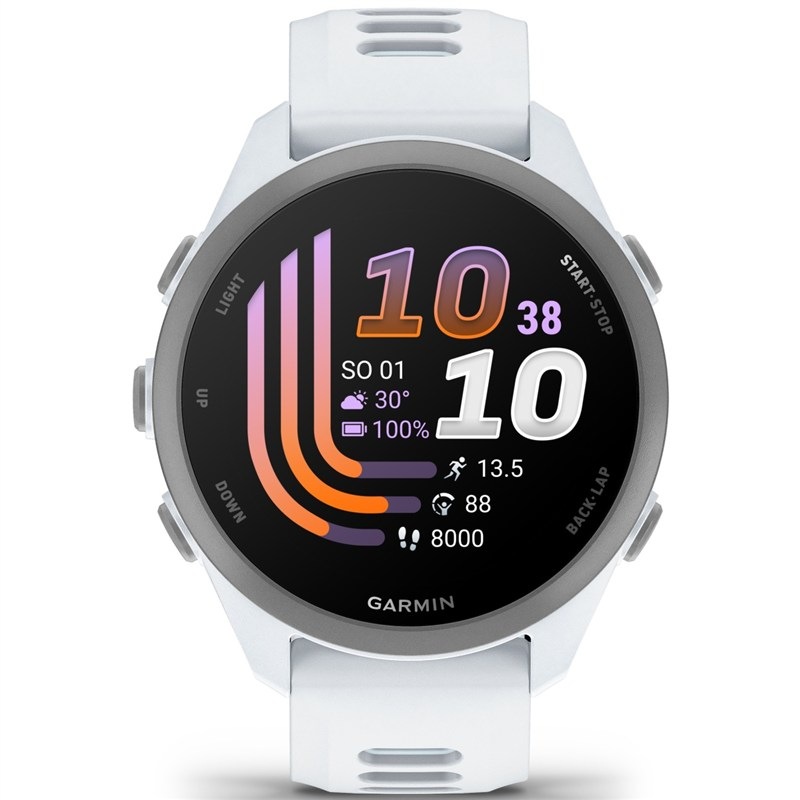 Chytré hodinky Garmin Forerunner 170, šedá/modrá farba