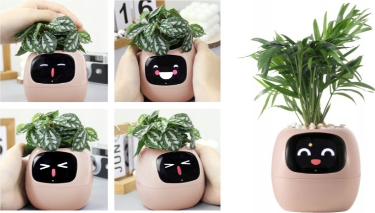 Inteligentný kvetináč Plantsio IVY ružový Chytrý kvetináč Plantsio IVY - ružová