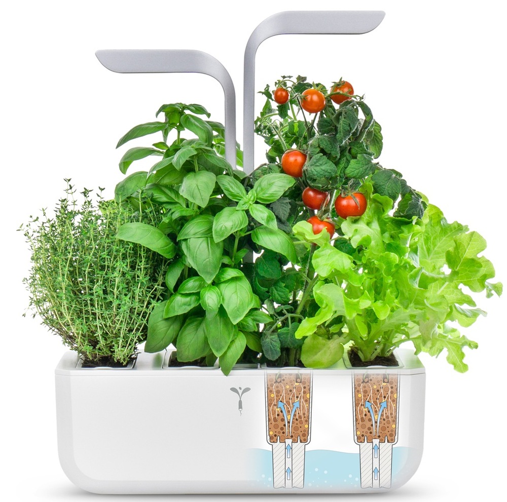 Inteligentný kvetináč Véritable SMART biely Chytrý kvetináč Véritable SMART s vypestovanými bylinkami