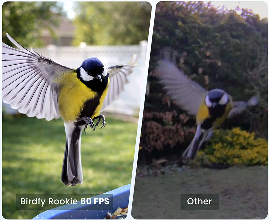 Vtáčie krmítko Birdfy Rookie Lite, s kamerou (AI predplatné) - hnedé
