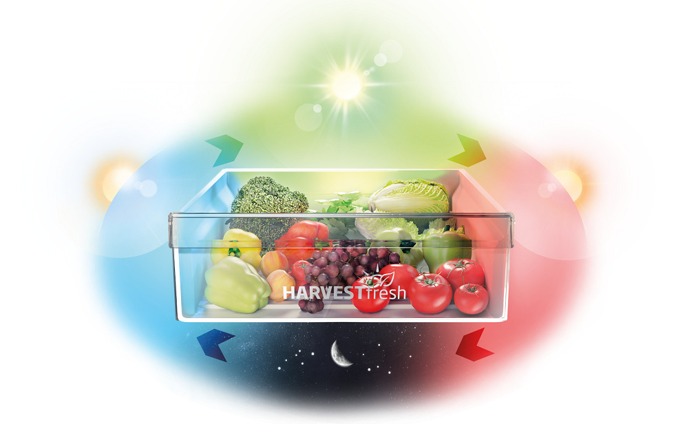 Chladnička kombinovaná Beko B3BCNA294HS, NoFrost vstavaná, múdra priehradka HarvestFresh