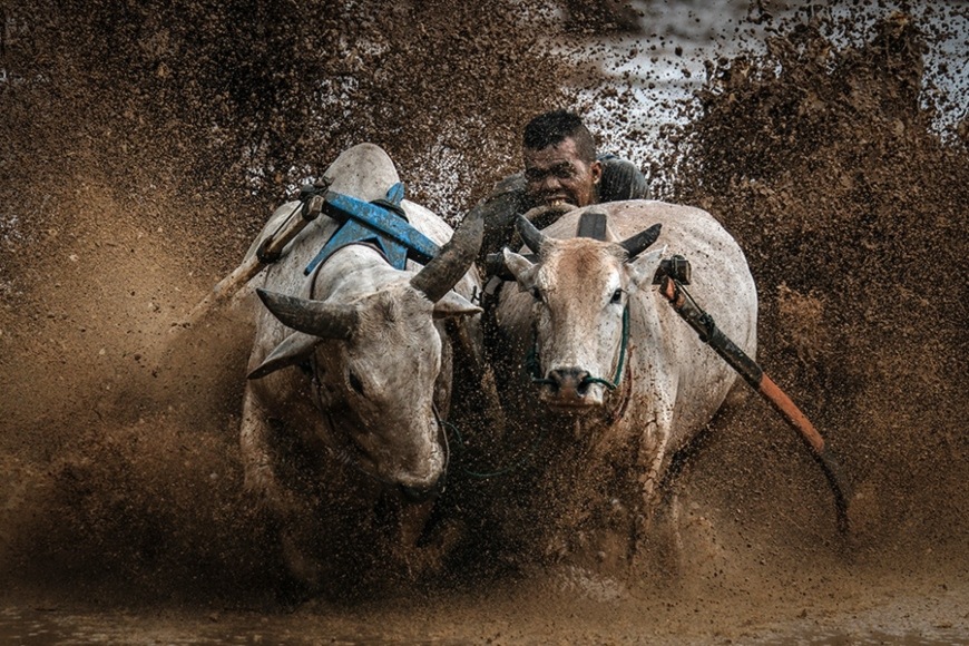 Fujifilm X-H2S, černá 