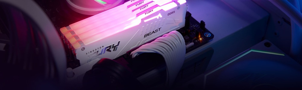 DIMM Kingston FURY Beast White RGB EXPO 64 GB (2× 32 GB) (KF560C30BWEA2-64)