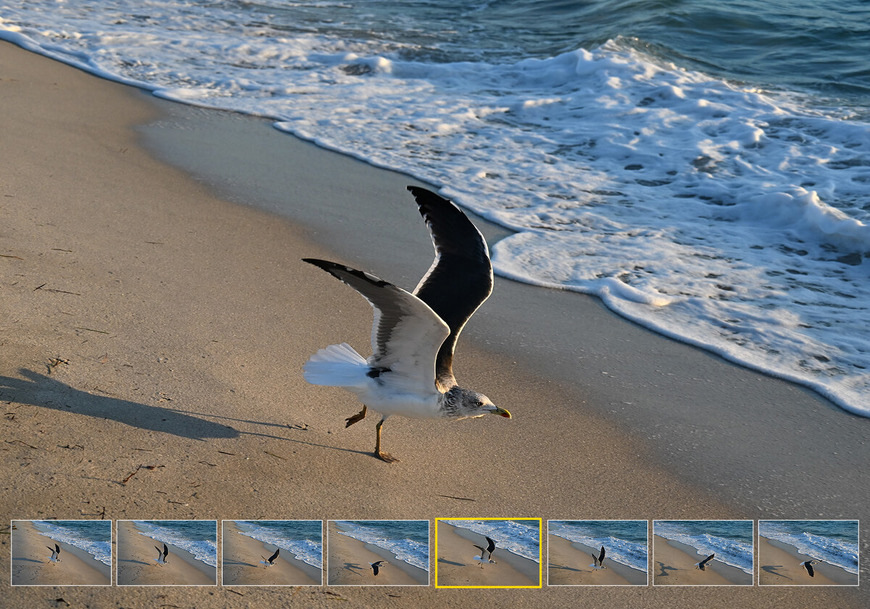 Digitálny fotoaparát Nikon Z 5II + 24-50mm f/4-6.3 VR čierny Nikon Z 5II, čierna