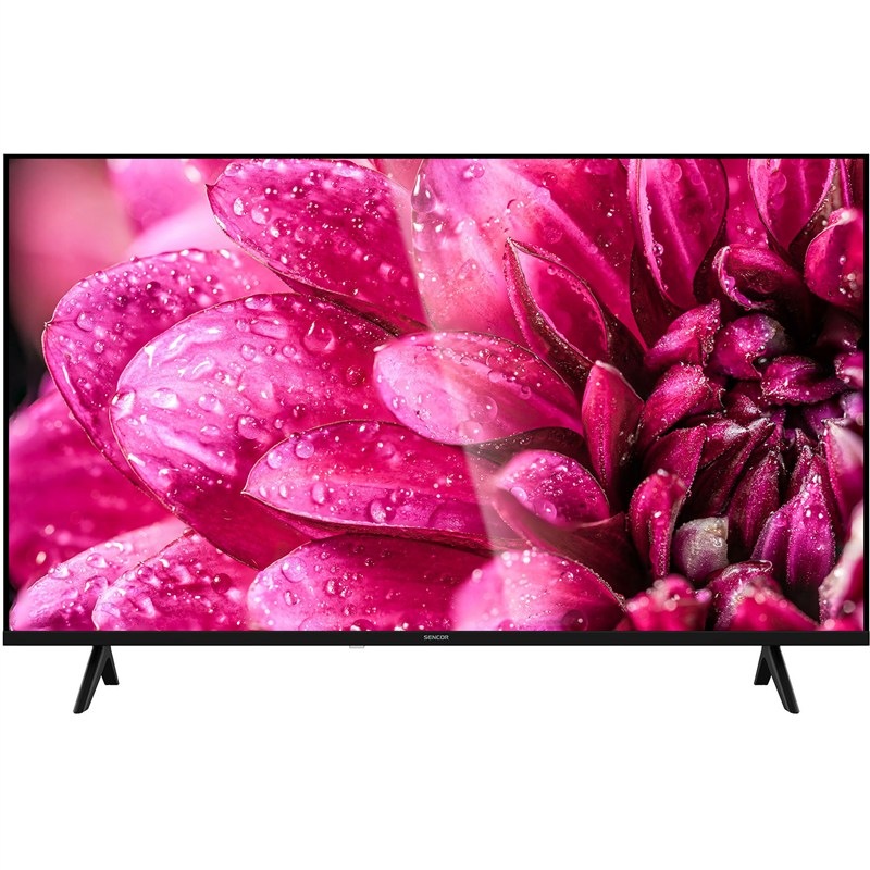 Televízia Sencor SLE 40F21 s kvetinou na tapete.