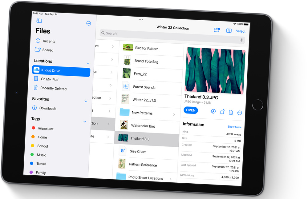 Tablet Apple iPad 10.2 (2021) Wi-Fi 256GB - strieborný