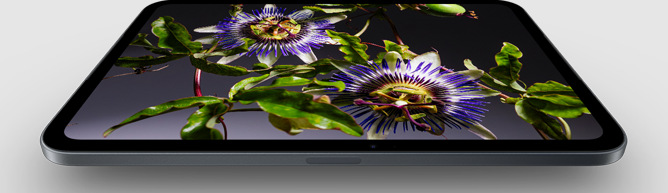 Tablet Apple iPad mini Wi‑Fi 512 GB - hvězdně bílý 2026