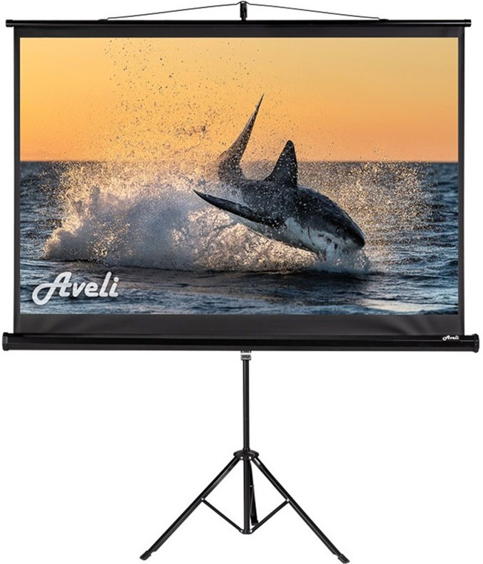 Plátno Aveli statív 150x94 cm 70" 70", 16:10, statívové - biele