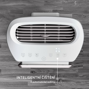 Rowenta PU6180F0 Intense Pure Air Home