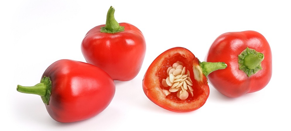 Pozberané Červené mini papriky vypestované kvetináči (záhradke) Véritable