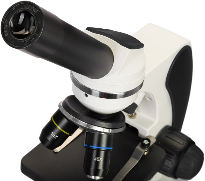 Mikroskop Discovery Pico Discovery Pico Polar