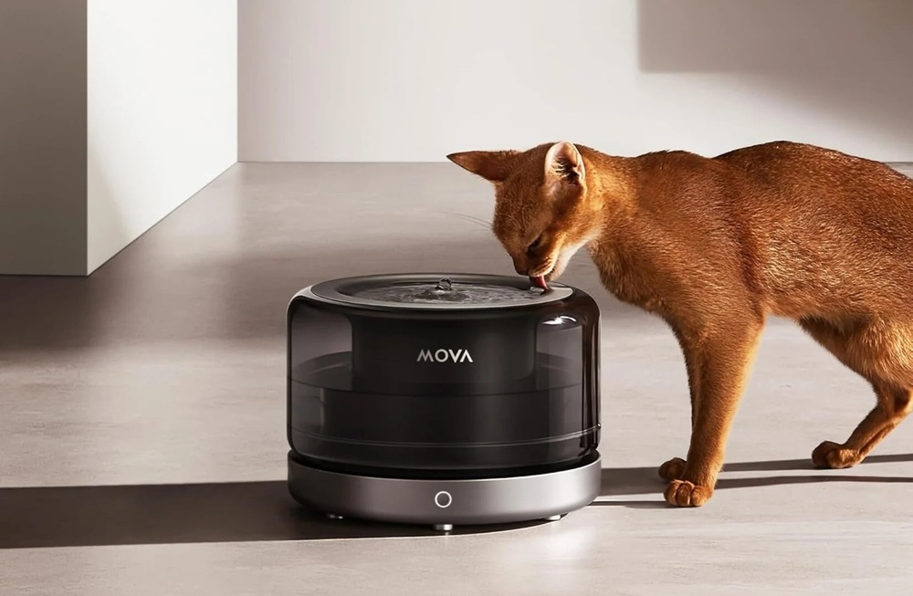 Mačka pije z fontánky MOVA WF20 Pro