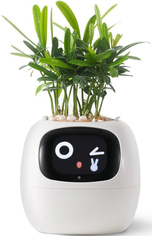 Chytrý kvetináč Plantsio IVY - biela