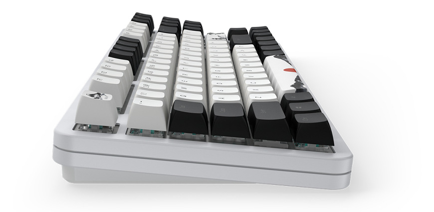 Klávesnica Dark Project Fuji II US biela