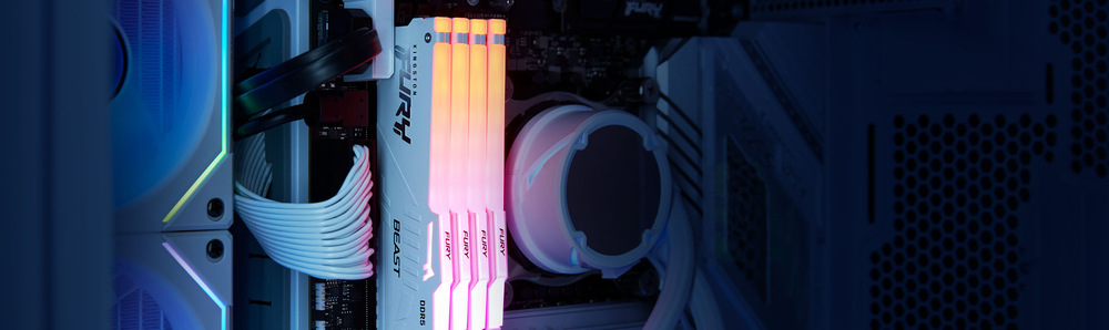 DIMM Kingston FURY Beast White RGB EXPO 32 GB
