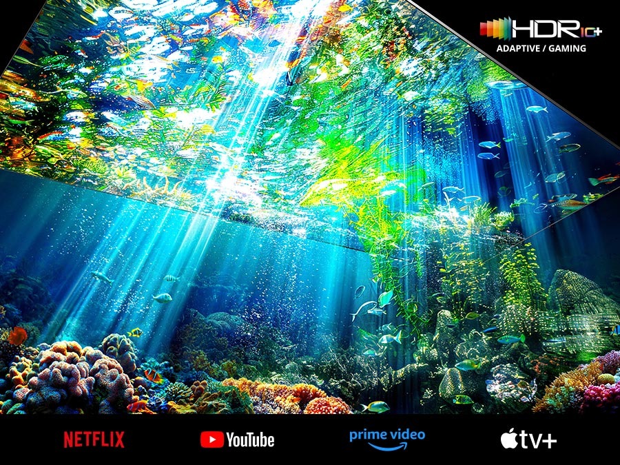 Televízor Samsung 115" Micro RGB MRE115MR95F Detailný záber podmorského sveta - technológia Micro RGB HDR+, logá streamovacích služieb