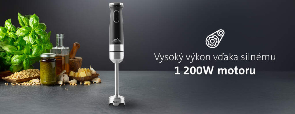 Tyčový mixér ETA Massimo