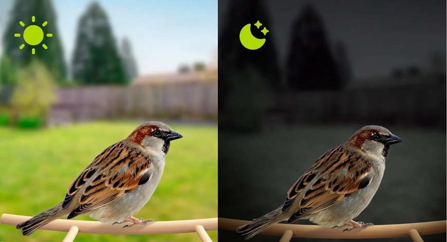Vtáčie krmítko Birdfy Ebony s kamerou (AI predplatné) Ilustrácia vtáčika s vizualizáciou vo dne av noci.