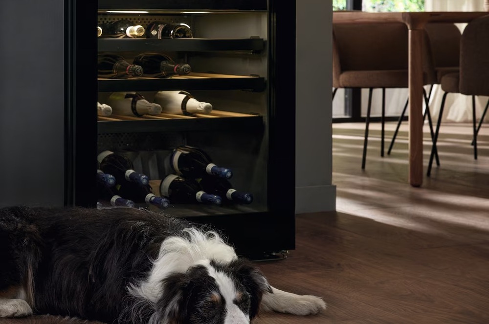 Vínotéka Miele KWTS 4785 F čierna Pred vinotékou Miele KWTS 4785 F spí pes