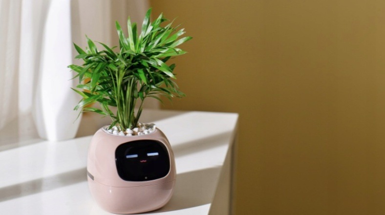 Inteligentný kvetináč Plantsio IVY ružový Chytrý kvetináč Plantsio IVY - ružová