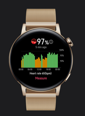 Inteligentné hodinky Huawei Watch GT 3 46 mm (Active) - Black + Black Fluoroelastomer Strap