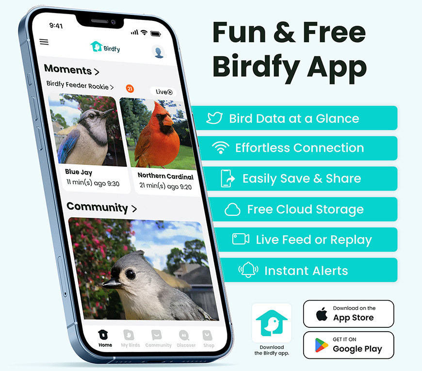 Vtáčie krmítko Birdfy Rookie Lite, s kamerou (AI predplatné) - hnedé