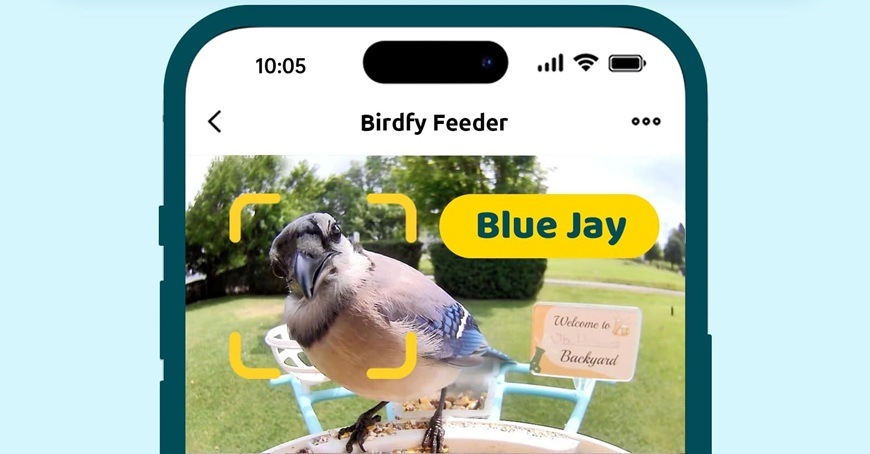 Vtáčie krmítko Birdfy s kamerou a solárnym panelom (AI predplatné) Detail obrázku notifikácie z mobilného telefónu.