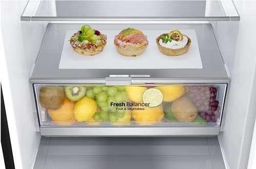 Chladnička s mrazničkou LG GBB92MCB2P čierna fresh_balancer