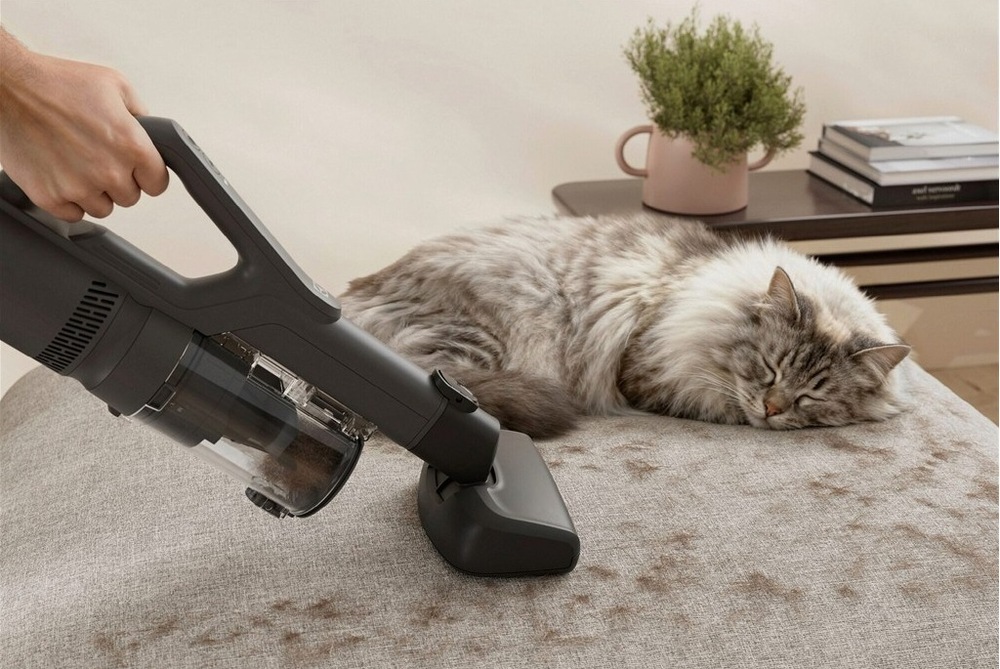Ručná jednotka vysávača Electrolux s hubicou Pet vysáva vedľa spiacej mačky srsť z pohovky.