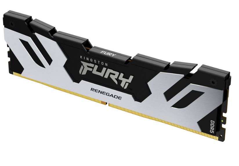 DIMM Kingston FURY Renegade Silver 16 GB