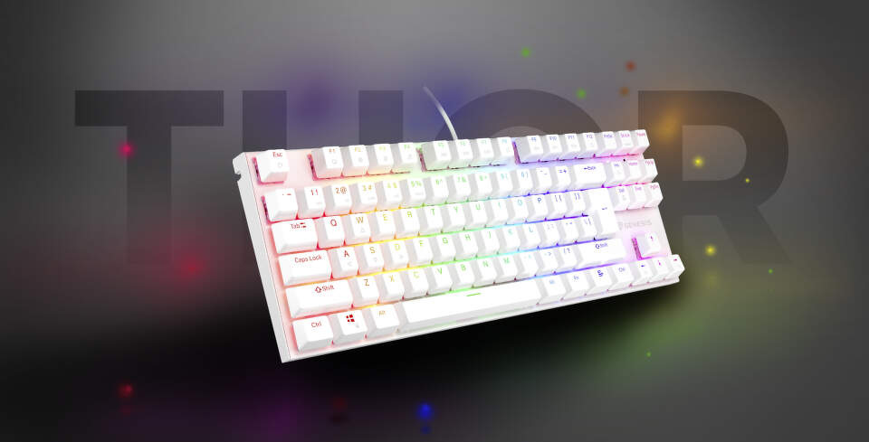 Klávesnica Genesis THOR 303 TKL RGB, Outemu Peach Silent, US layout biela Klávesnica Genesis THOR 303 TKL RGB, Outemu Peach Silent, US layout biela