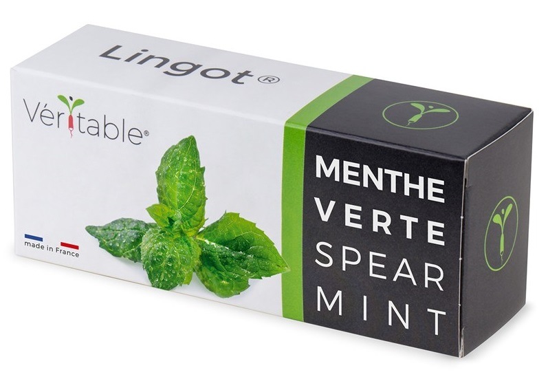 Semienka Véritable Lingot Mäta klasnatá