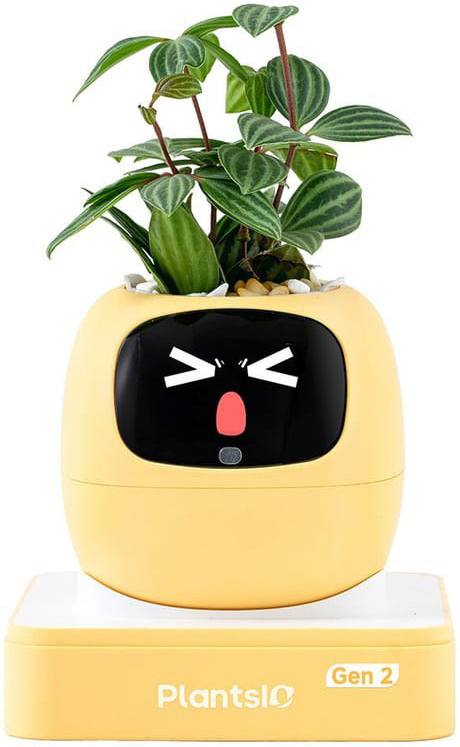 Chytrý kvetináč Plantsio IVY generácia 2 - žltá