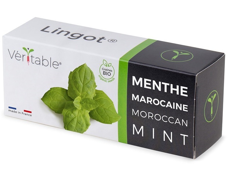 Semienka Véritable Lingot Marocká mäta BIO