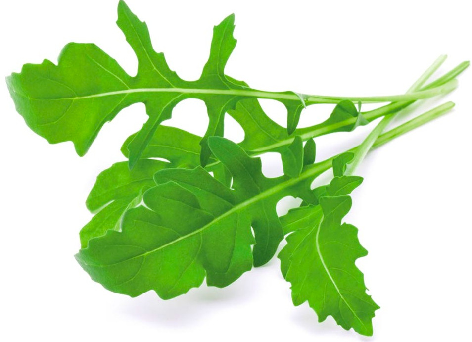 Semienka Click and Grow Rukola (3 ks) Semienka Click and Grow Rukola - 3 ks