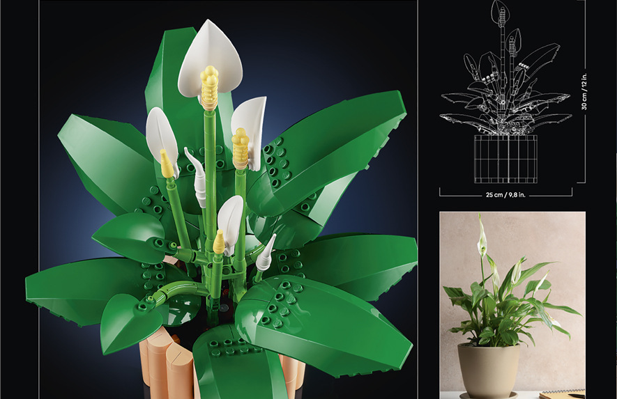 Stavebnica LEGO® Botanicals 11504 Lopatkovec Mrkva a popcorn dostali nečakané využitie a vytvárajú zábavné detaily botanického modelu.