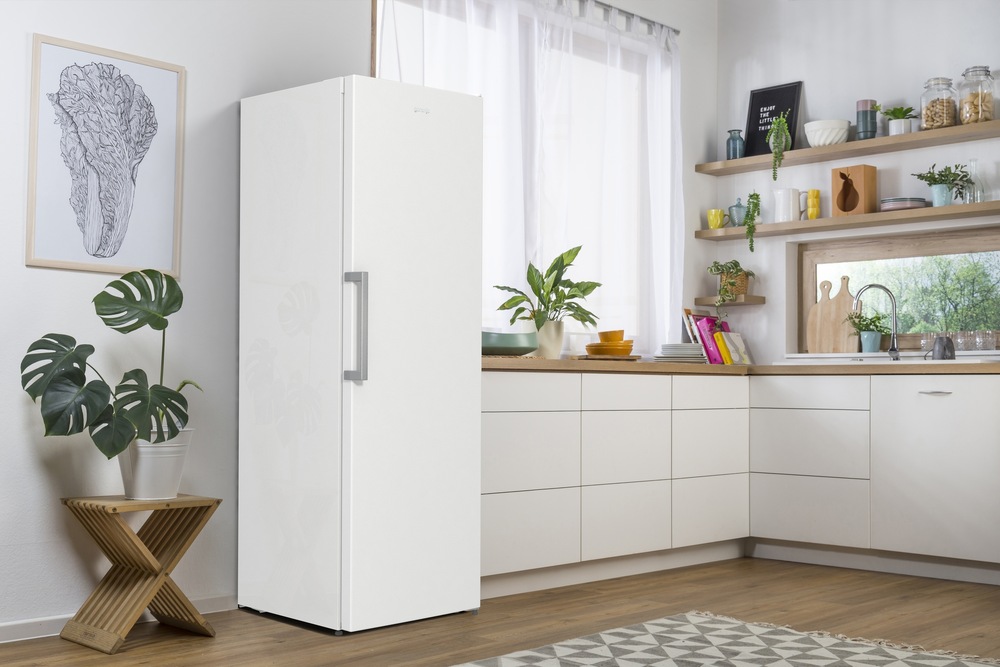 Mraznička Gorenje Essential FN619EEW5 biela Mraznička Gorenje Essential FN619EEW5 biela