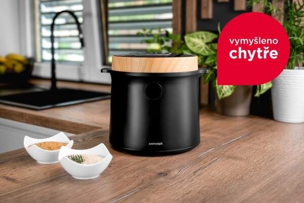 Ryžovar Concept RE4040, 2 l čierny