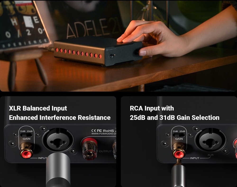 Zosilňovač Fosi Audio V3 Mono s detailom symetrického vstupu XLR a vstupu RCA s voľbou zosilnenia 25 alebo 31 dB.