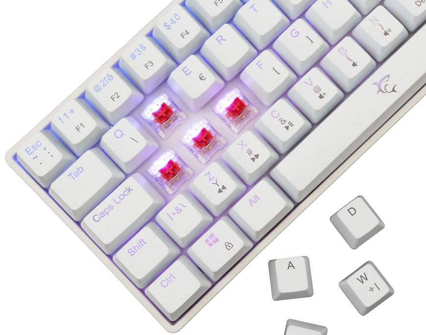 Klávesnica White Shark SHINOBI 2, CZ/SK layout, Red switch biela White Shark SHINOBI 2, CZ/SK layout, biela