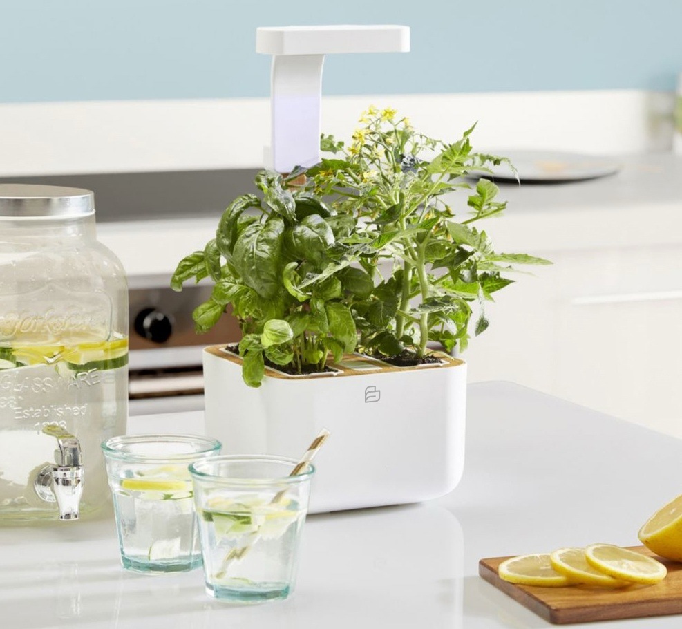 Inteligentný kvetináč Véritable BOTANEO biely Chytrý kvetináč Véritable BOTANEO v interiéri kuchyne