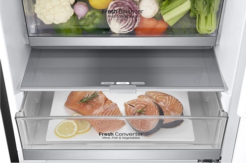 Chladnička s mrazničkou LG GBB92MCB2P čierna fresh_converter