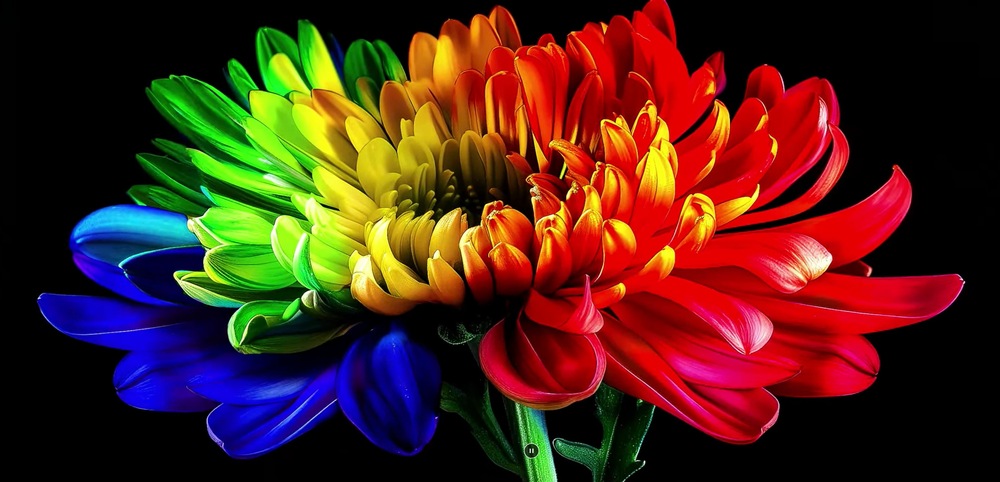 Micro RGB využíva extrémne malé LED na presné riadenie jasu, farieb i kontrastu každého pixelu.
