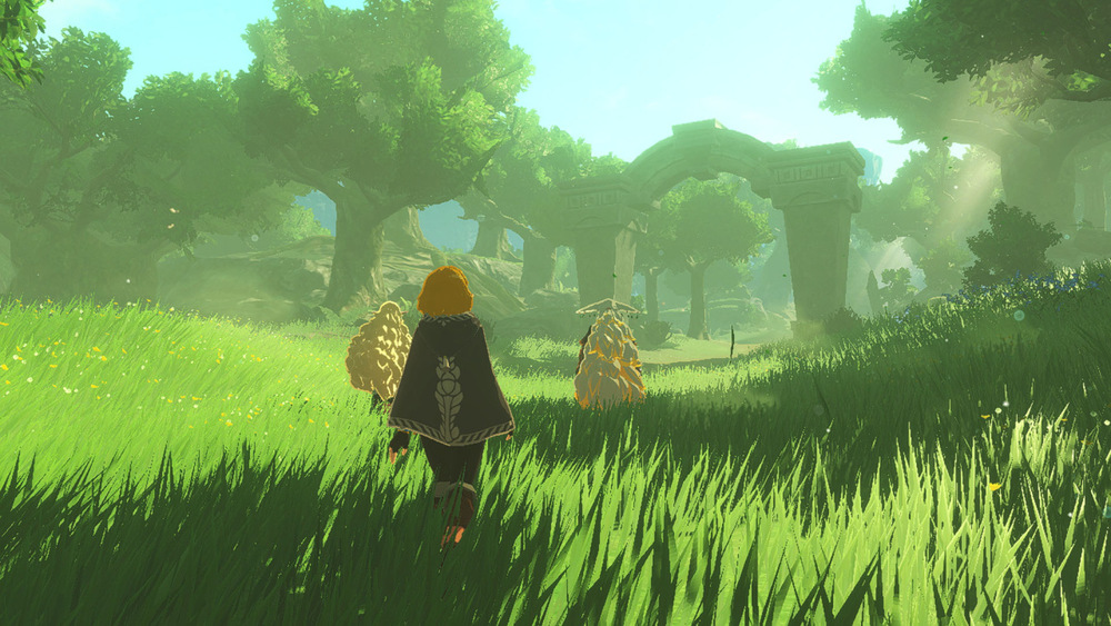 V hre Hyrule Warriors: Age of Imprisonment môžete hrať sami alebo v dvojčlennej kooperácii.