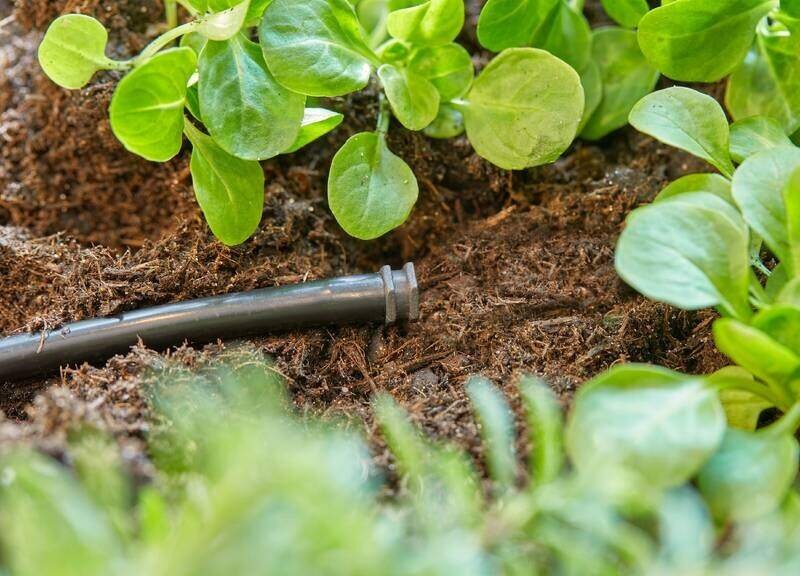 Koncovka Gardena MicroDrip System 4,6 mm (10 ks) Koncovka Gardena MicroDrip System 4,6 mm (10 ks)