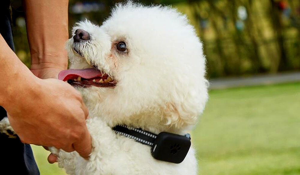 GPS lokátor Carneo DogSAFE+ čierny