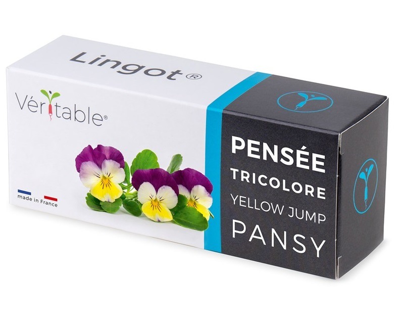 Semienka Véritable Lingot Maceška BIO